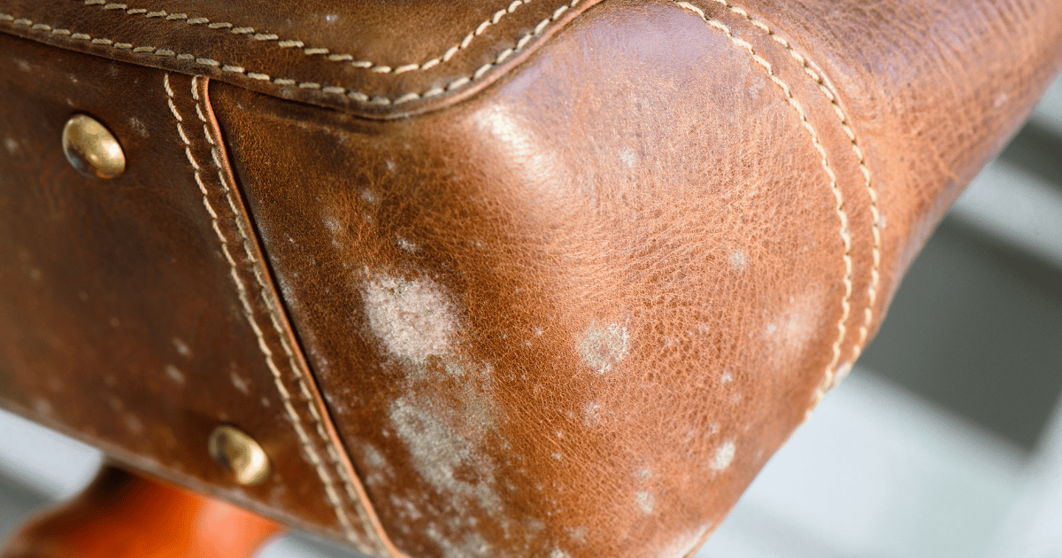 Moldy brown leather bag