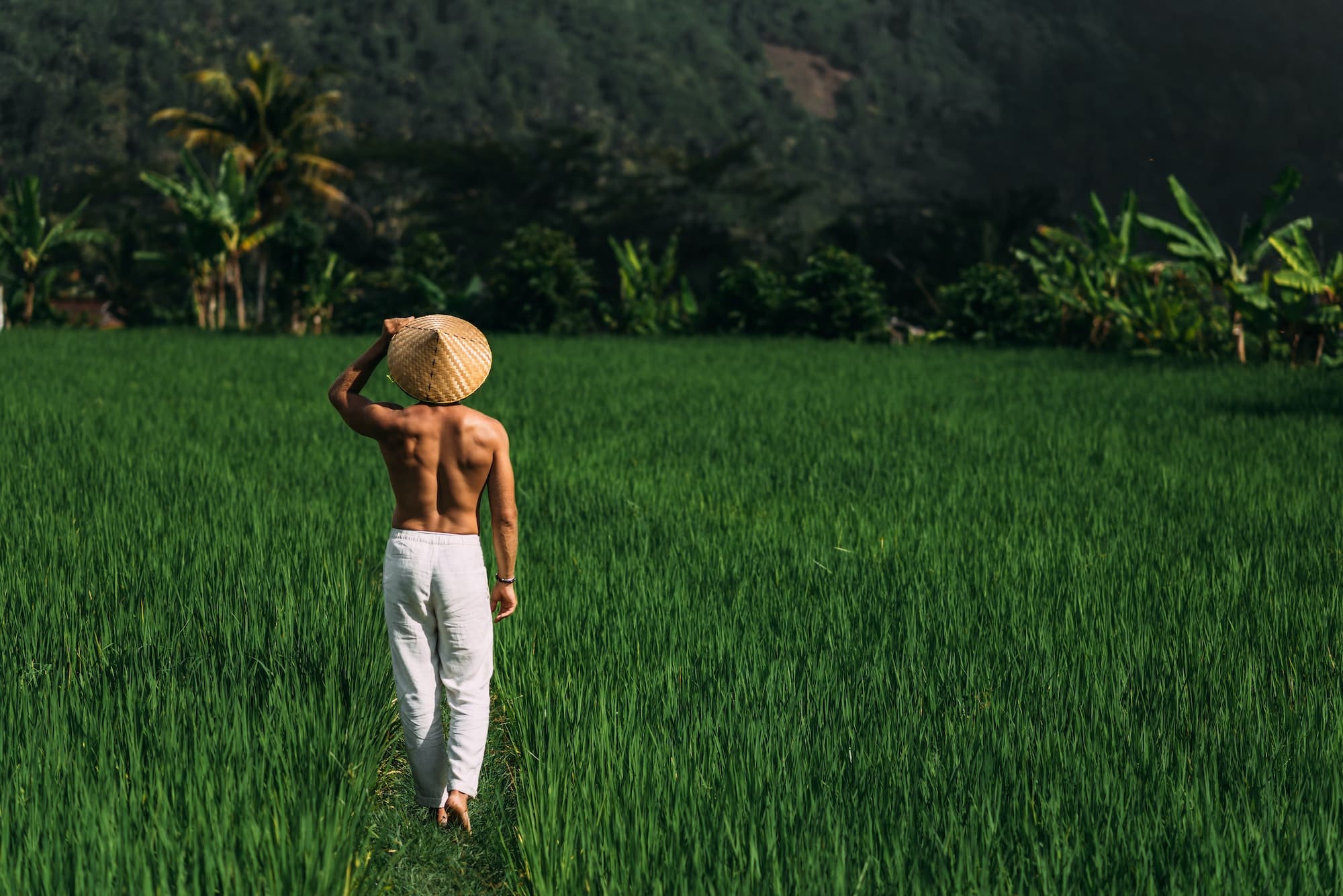 A sporty man walks on rice terraces in Bali, Indonesia