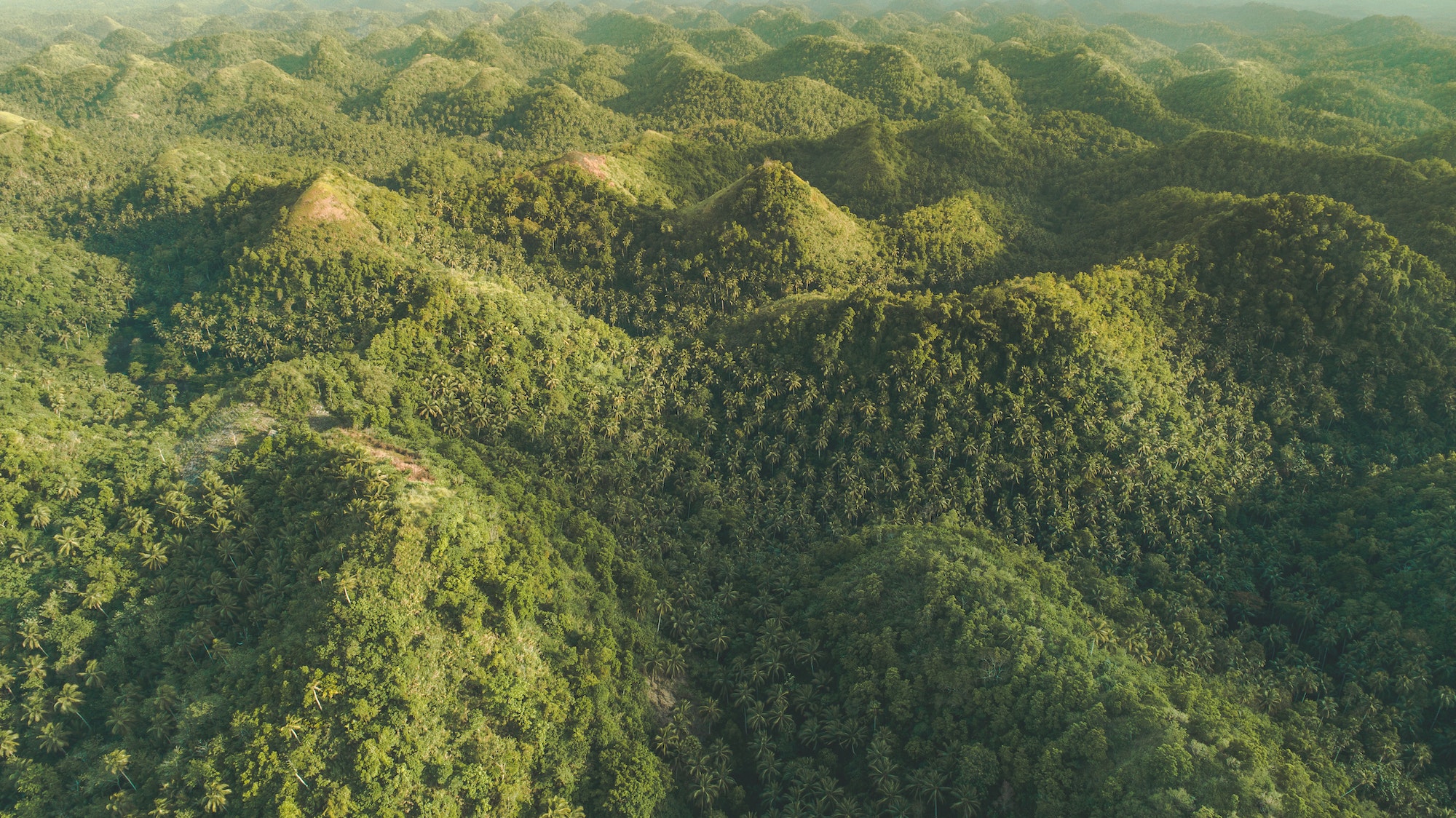 Greens-capped hills. Aerial drone shot. Indonesia