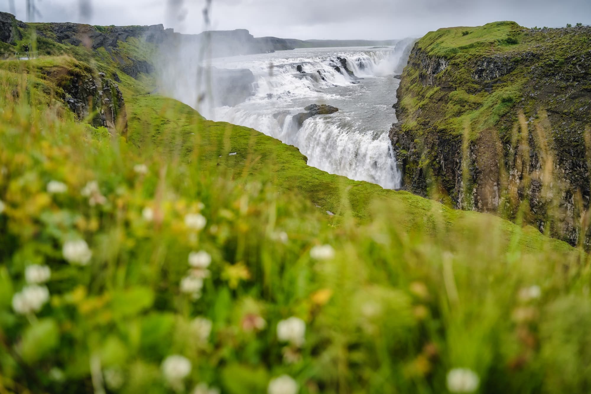 Gullfoss also known as Golden Falls waterfall and green foloage in foreground. Iceland