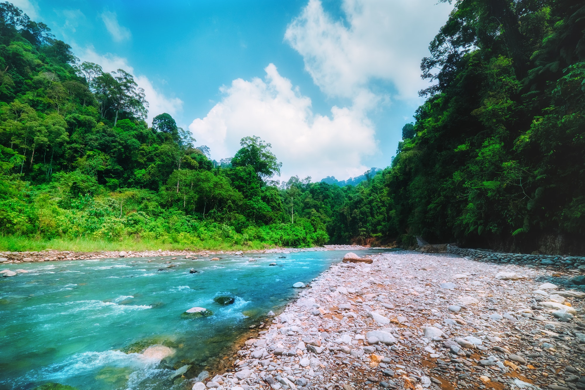 Mountain river and dense jungle. Sumatra, Indonesia.