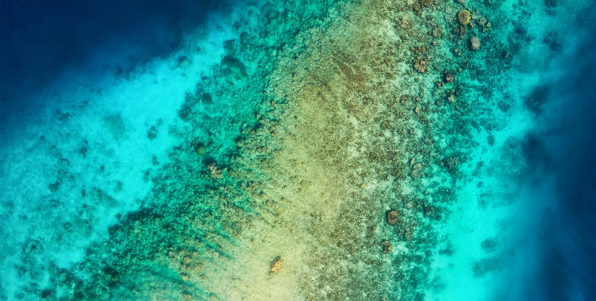 Reef as a background. Gili Meno islands, Indonesia
