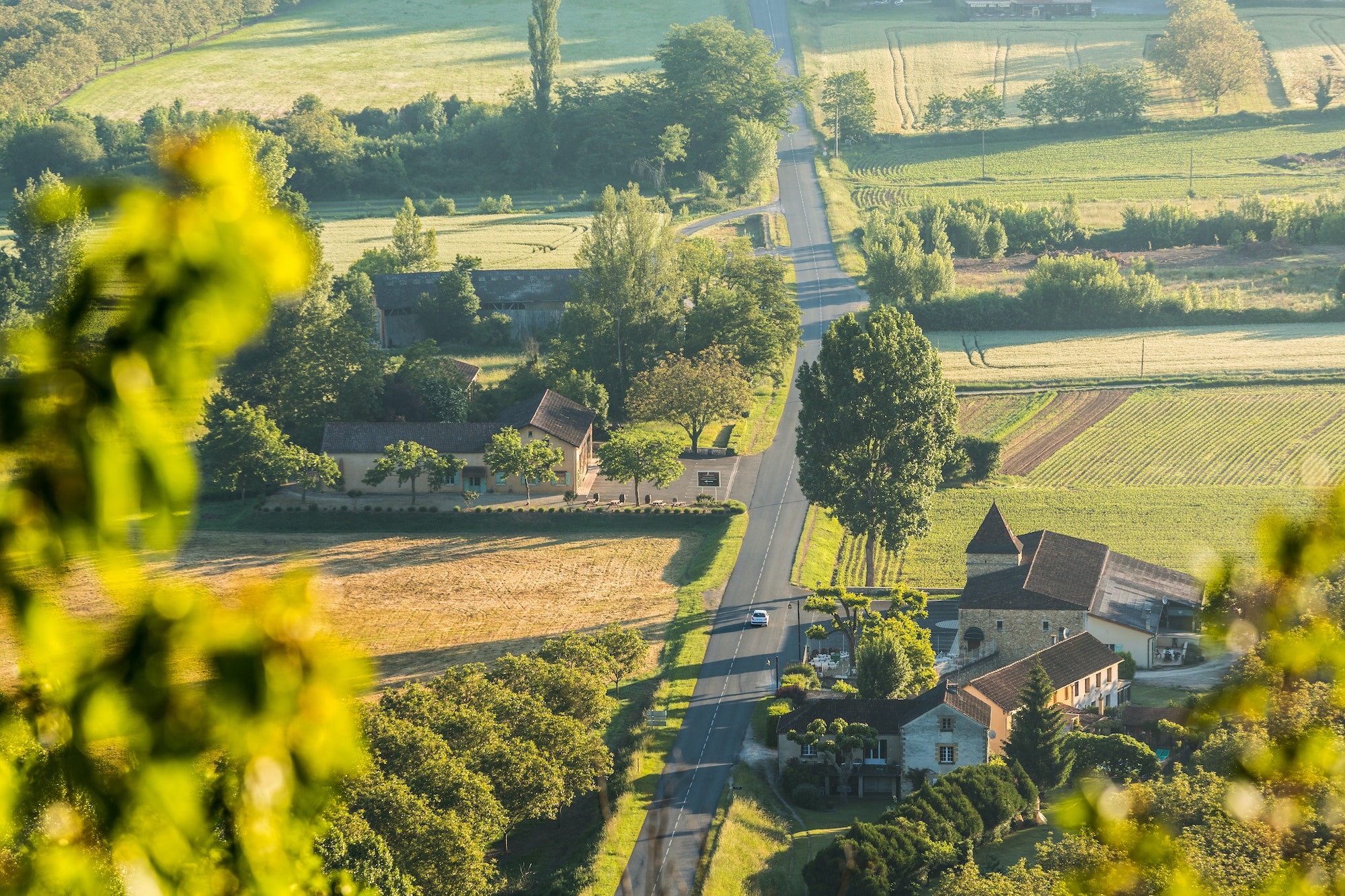 Road & early morning mist, Dordogne nr Chateau de Castelnaud, Dordogne, Aquitaine, France