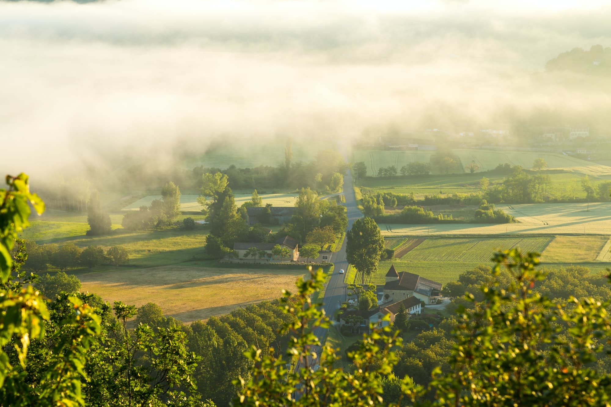 Road & early morning mist, Dordogne nr Chateau de Castelnaud, Dordogne, Aquitaine, France