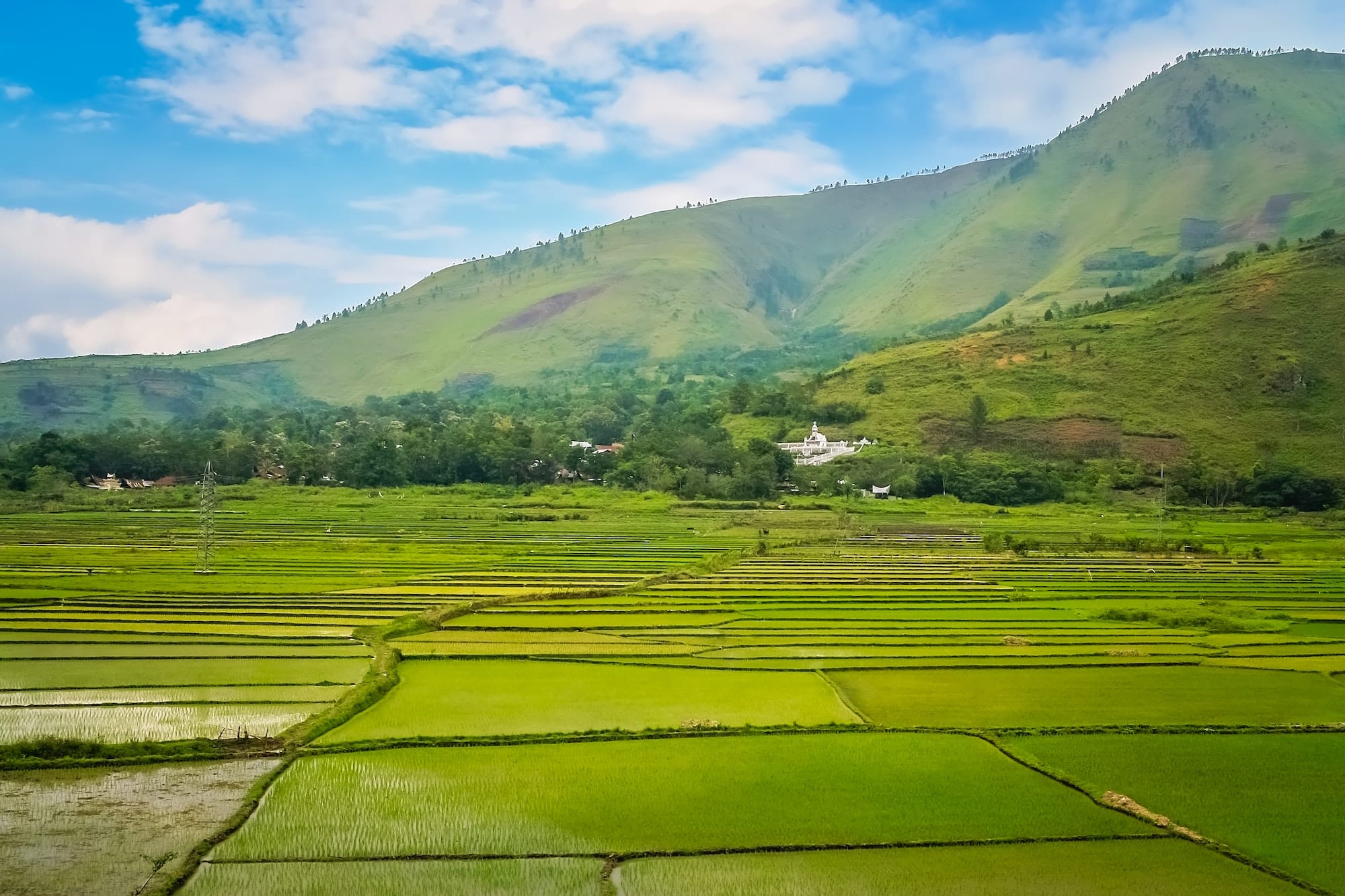 Terraced ricefields in the tropics of Sumatra, Indonesia