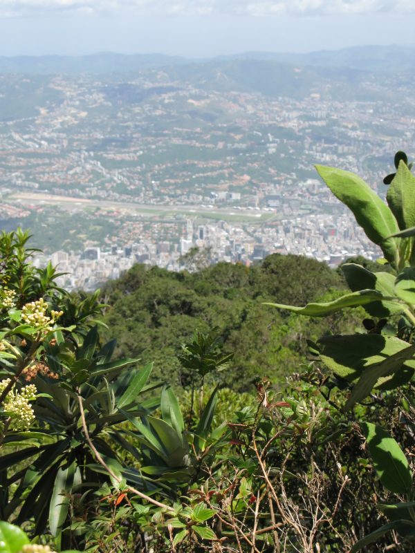 Aerial view of Caracas from Avila national park